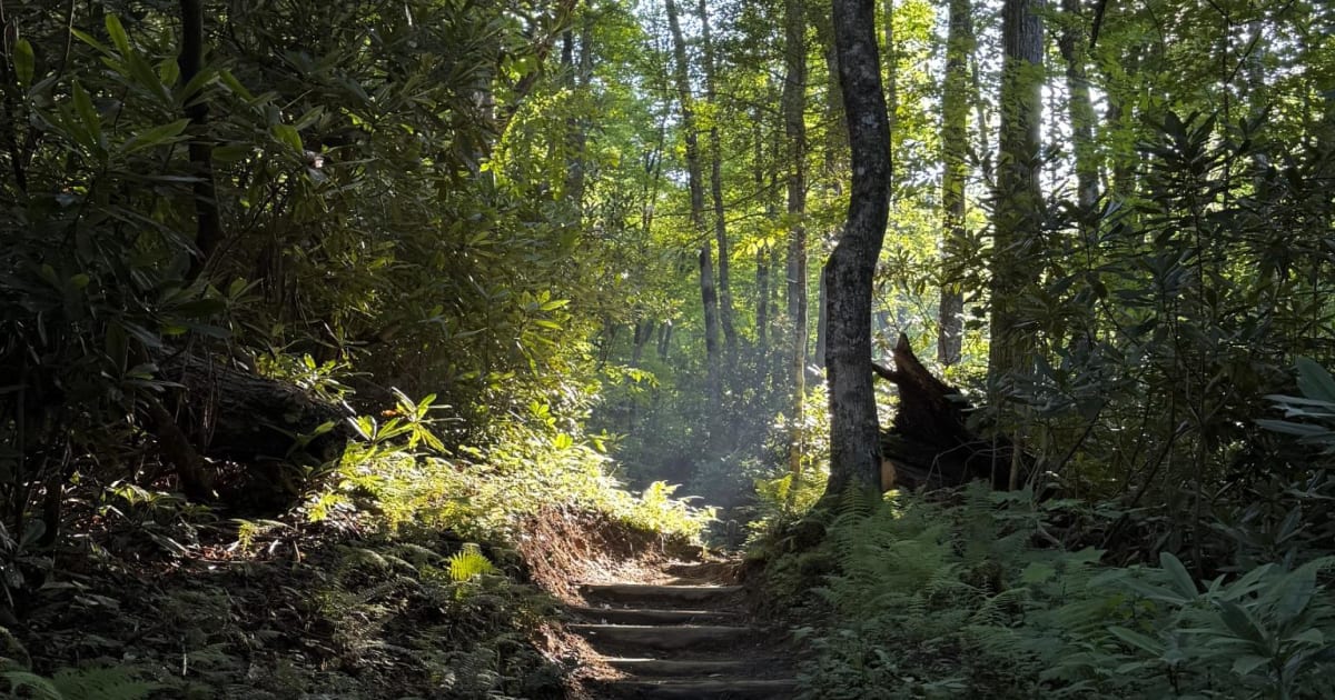 Whiteoak Branch Trail