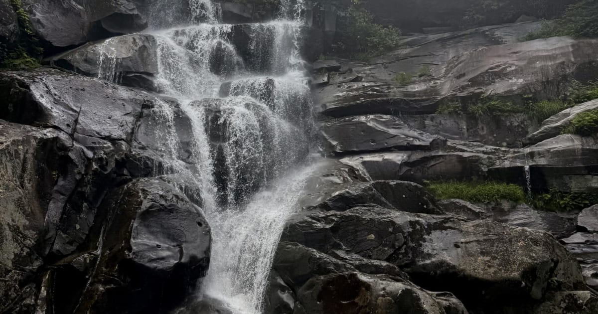 The Smoky Mountain Angler