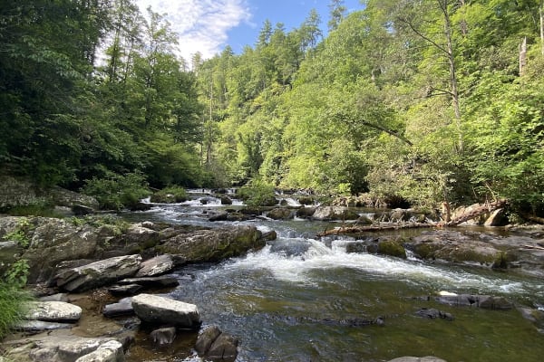 Abrams Falls Trail