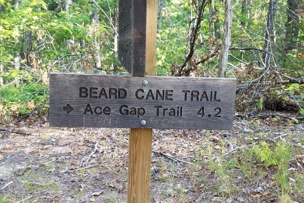Beard Cane Trail