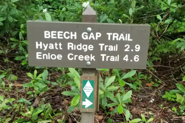Beech Gap Trail