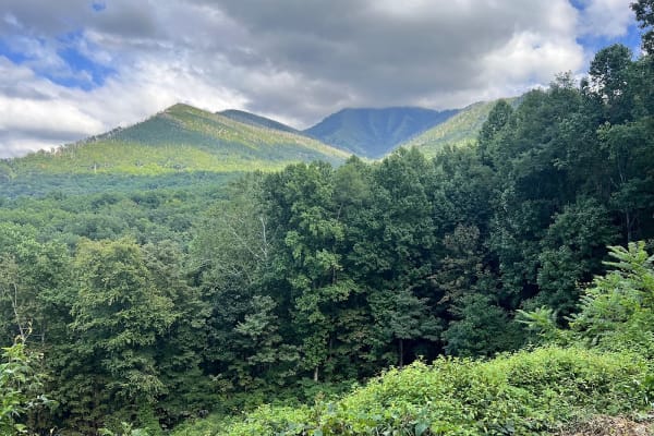 Carlos C. Campbell Overlook