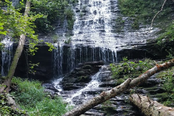 Crooked Arm Ridge Trail
