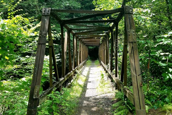 Enloe Creek Trail