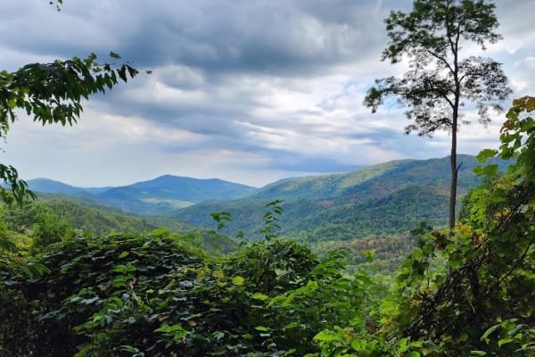 Finley Cane Trail