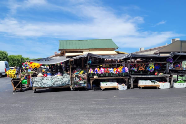 Flea Traders Paradise