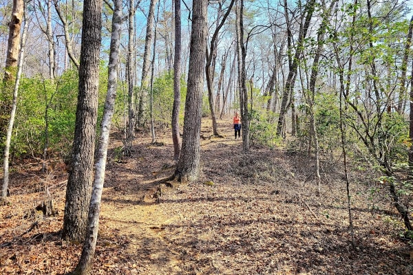 Goldmine Loop Trail