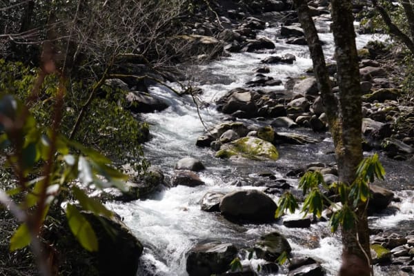 Greenbrier Ridge Trail