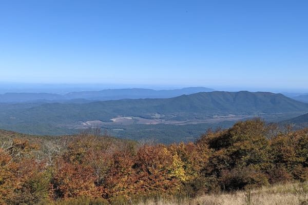 Gregory Bald Trail