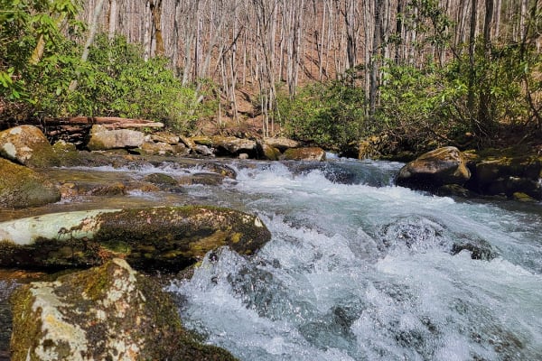 Kanati Fork Trail