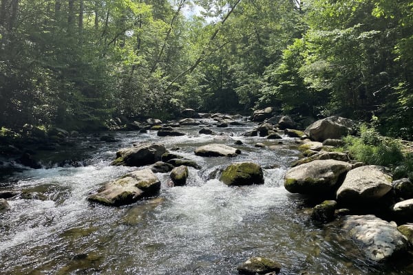 Little River Trail