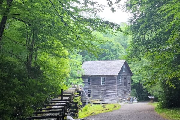 Mingus Creek Trail