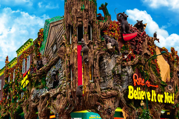 Ripley's Believe It or Not!
