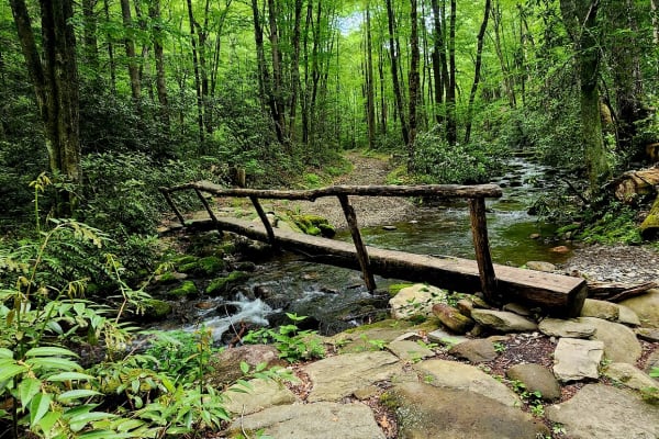 Rough Fork Trail