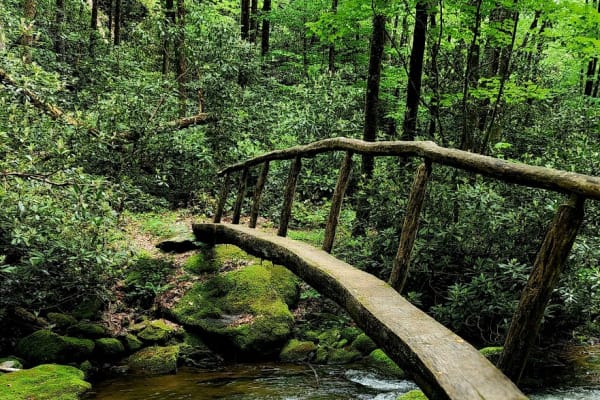 Twentymile Loop Trail