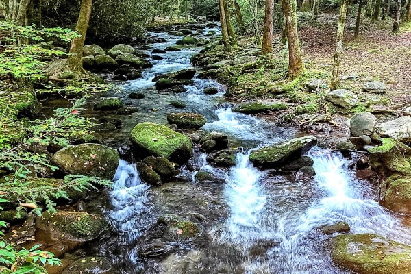 West Prong Trail