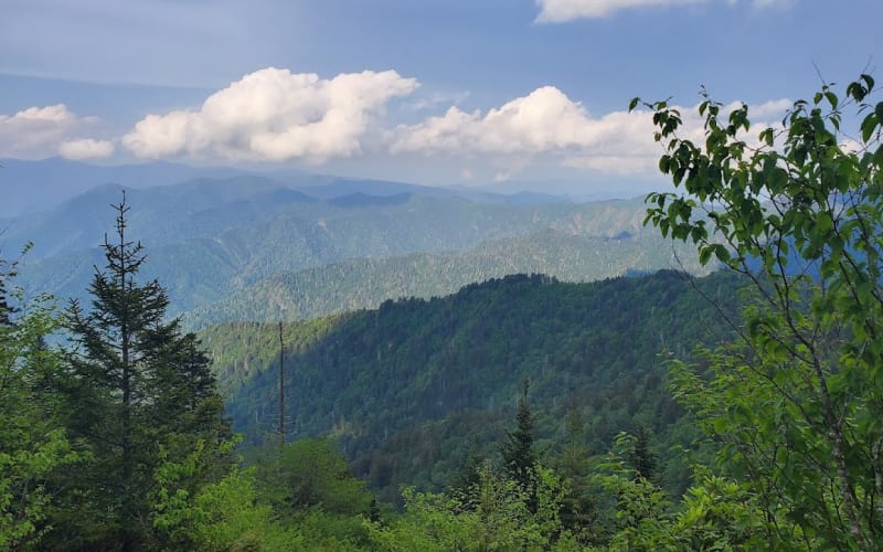 Mount LeConte via the Boulevard Trail, National Park, Gatlinburg side