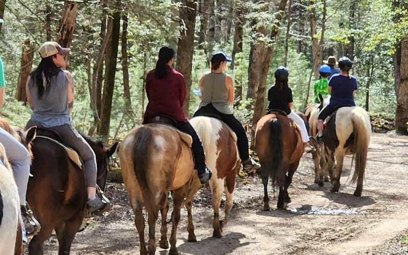 Cades Cove Riding Stables, National Park, Cades Cove