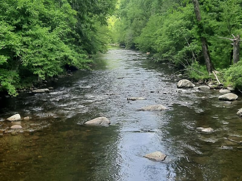 Metcalf Bottoms Trail