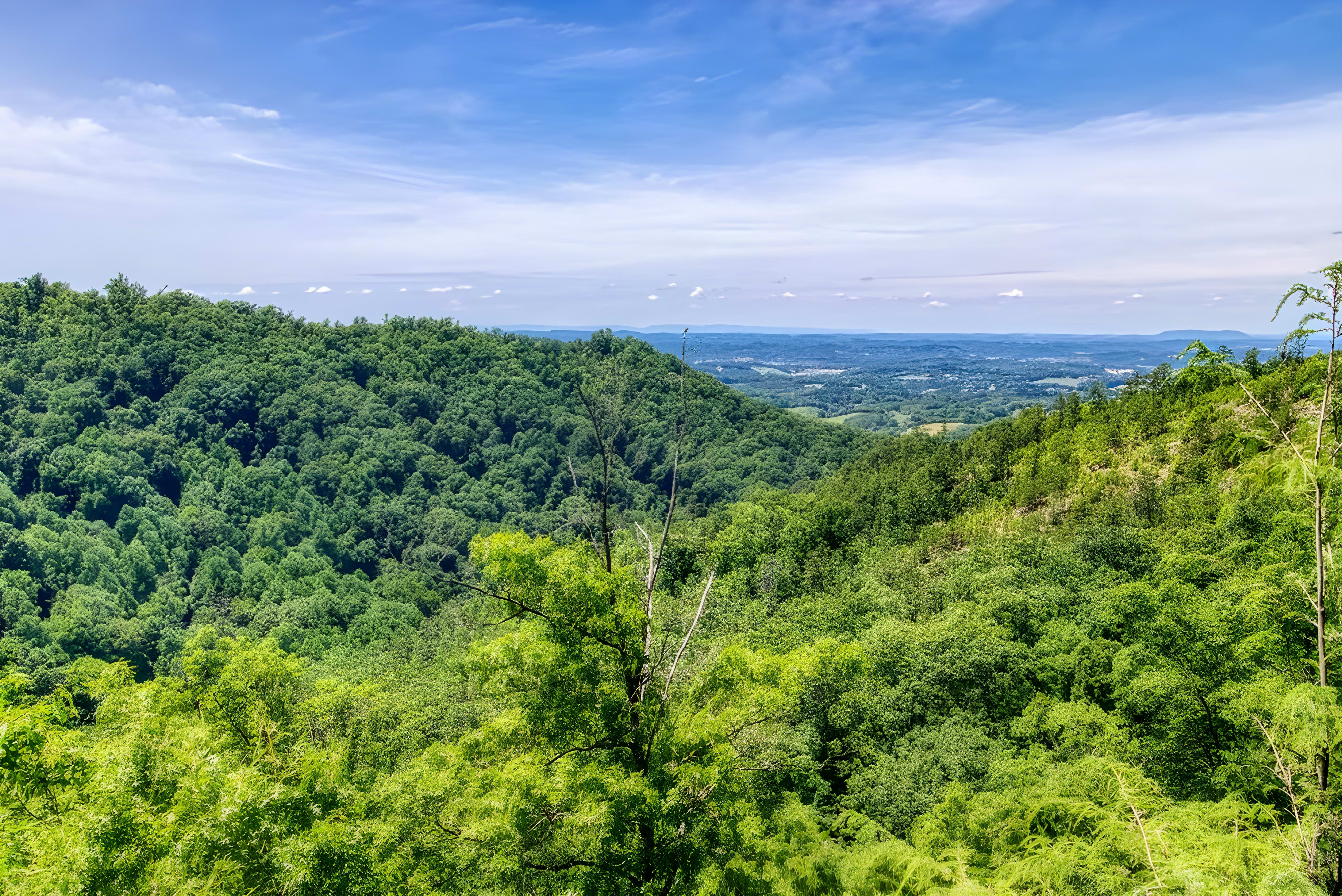 Eagle Crest Resort View - Pigeon Forge Cabin Rental Resort