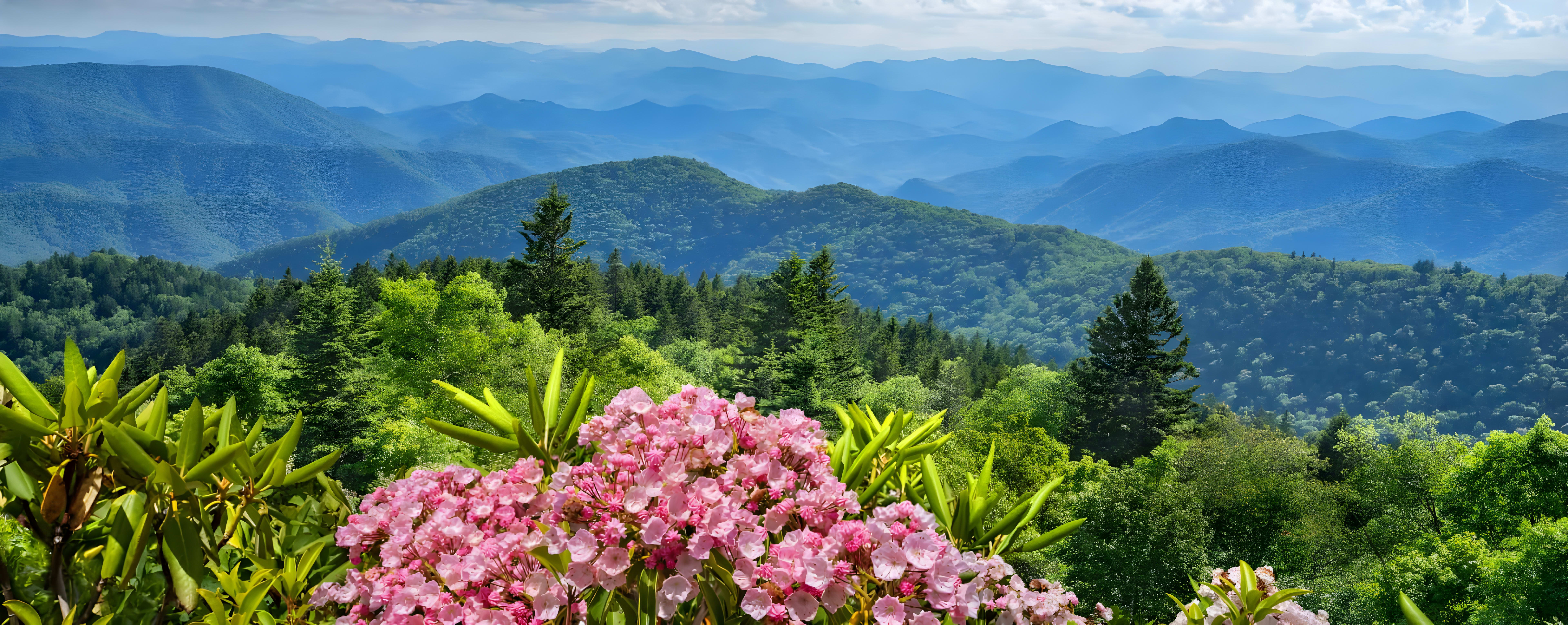 Bear Mountain Cabin View - Sevierville Cabin Rental Resort