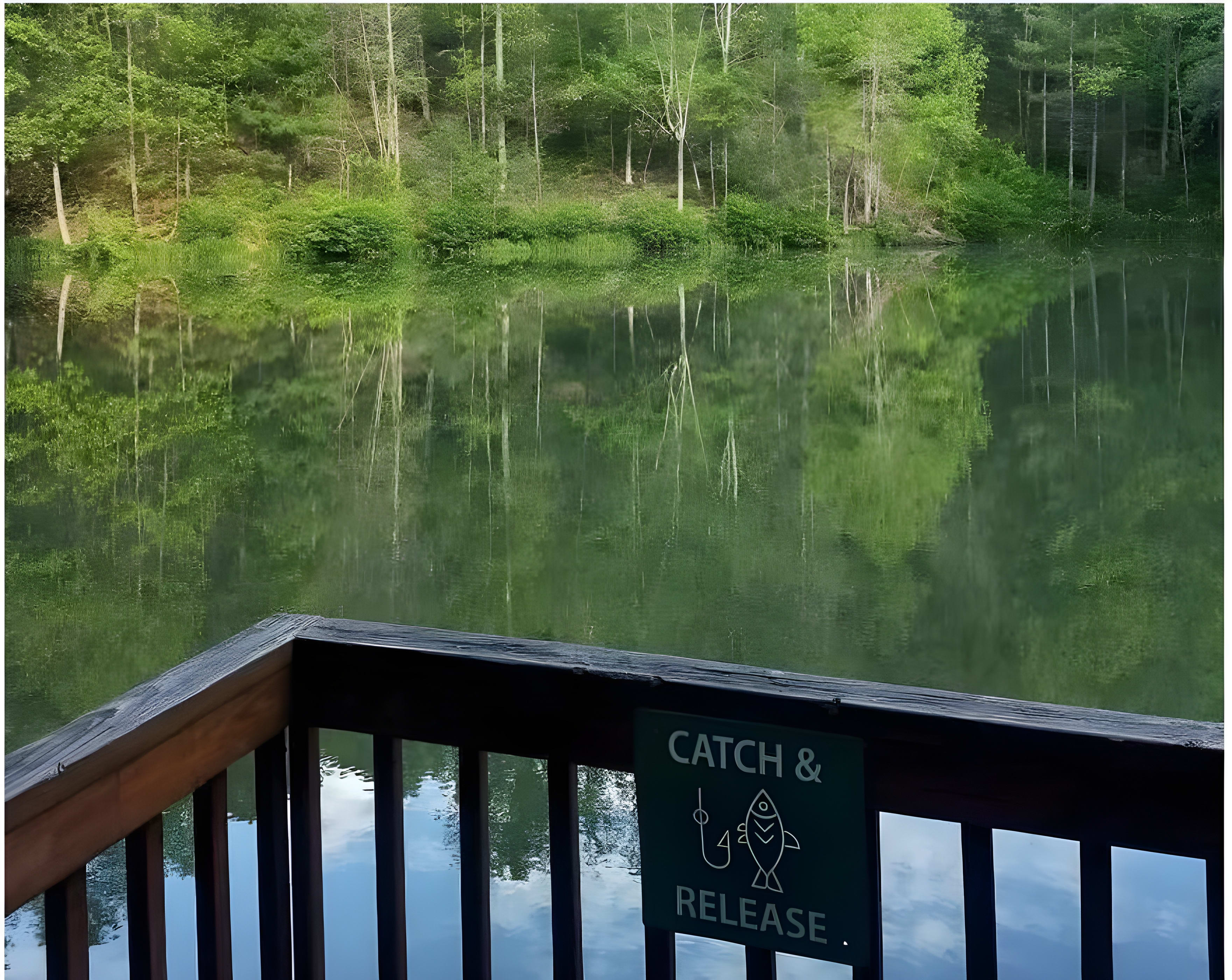 Hidden Lakes Resort cabins by the lake