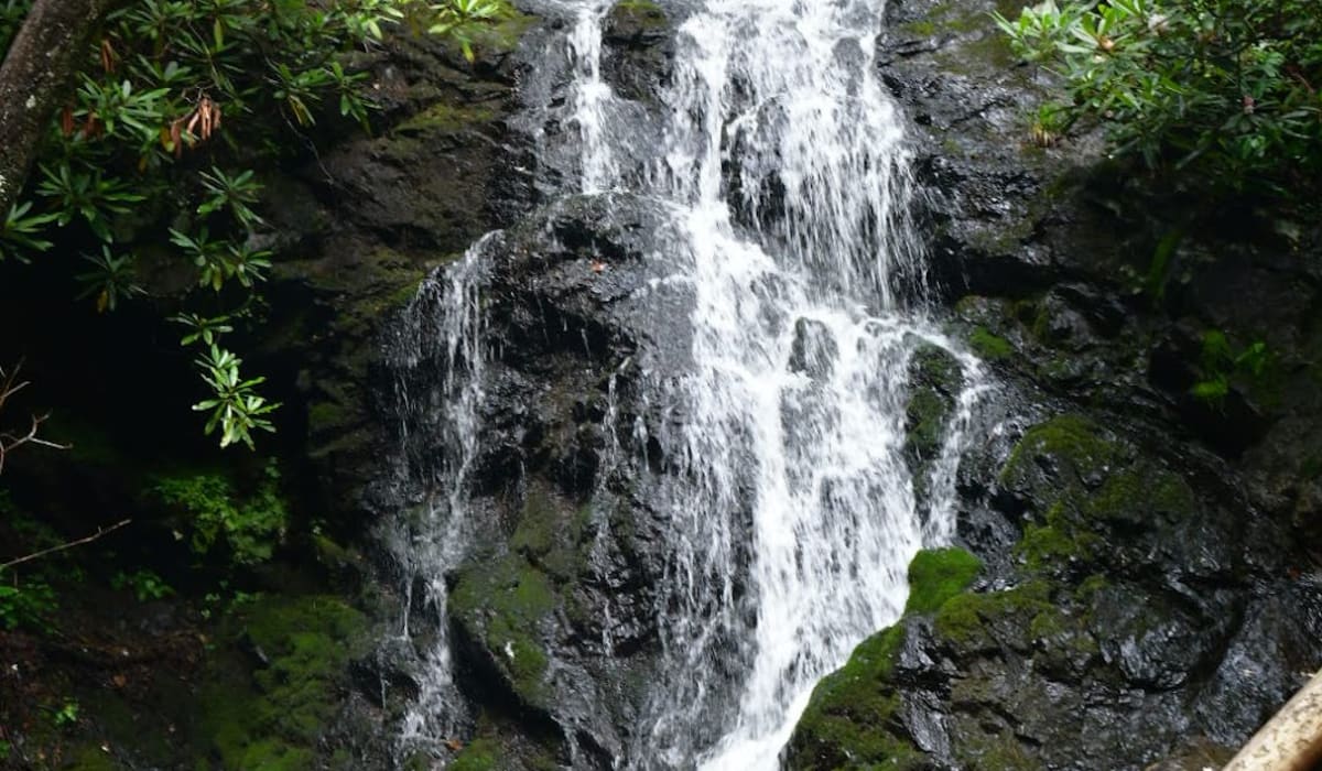 Gentle Cataract Falls, a short walk from the Sugarlands Visitor Center