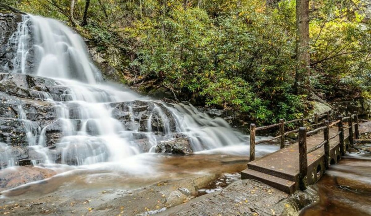 Lush, 80-foot Laurel Falls with a walkway bridge