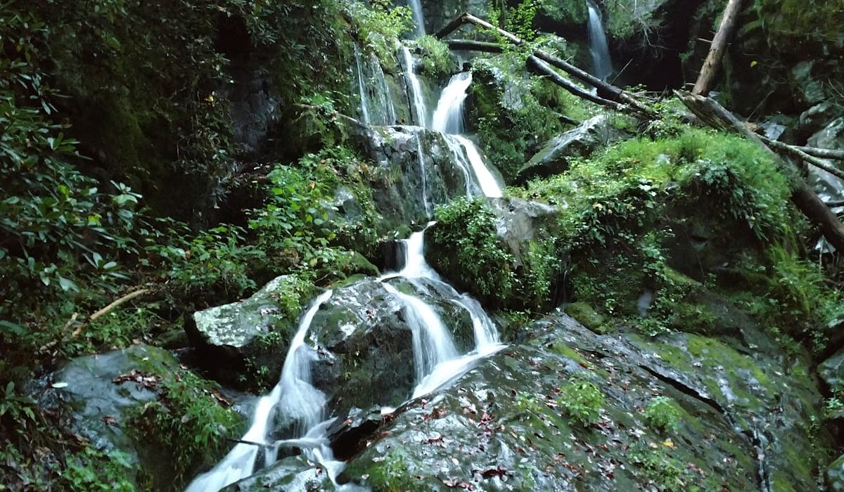Water dripping down a mossy rock face at Place of a Thousand Drips