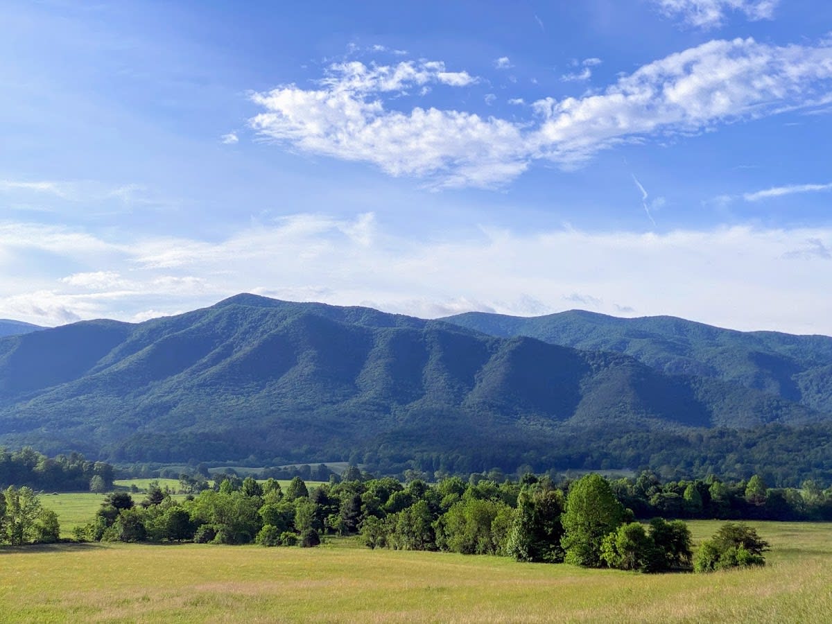 The historic John Oliver Cabin, a log structure with a stone chimney, nestled in the woods of Cades Cove.