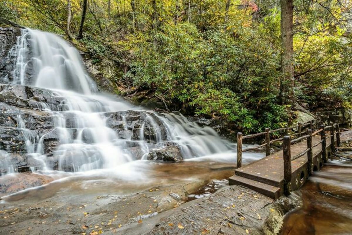 A couple hiking on a scenic trail in the Smoky Mountains.