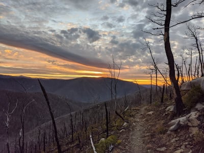 Bullhead Trail