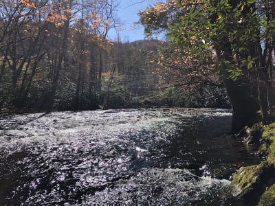 Cataloochee Valley Ghost Town