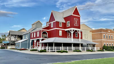 Dolly Parton's Stampede Dinner Show