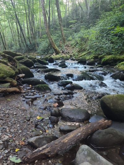 Elkmont Nature Trail