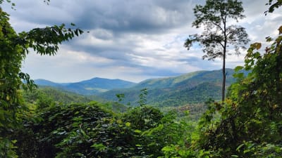 Finley Cane Trail