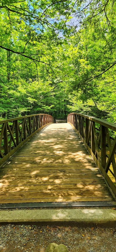 Gatlinburg Trail