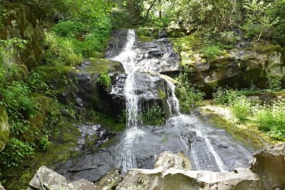 Hen Wallow Falls - 90 Feet!
