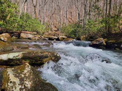 Kanati Fork Trail