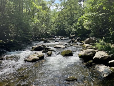 Little River Trail