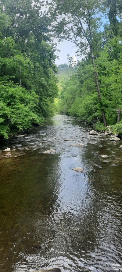 Metcalf Bottoms Trail