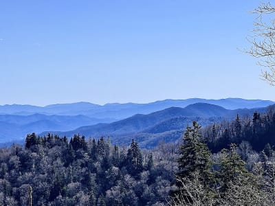 Newfound Gap