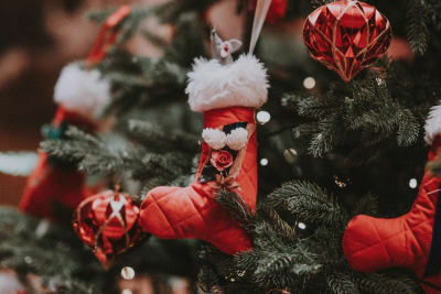 Sea of Trees - Ripley's Aquarium Holiday Event