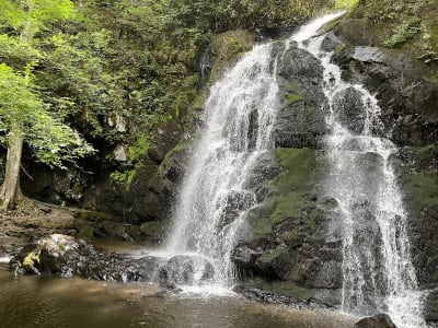 Spruce Flats Falls Trail