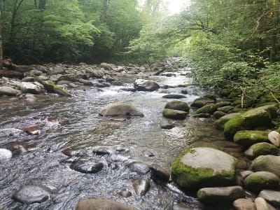 Sugarland Valley Nature Trail