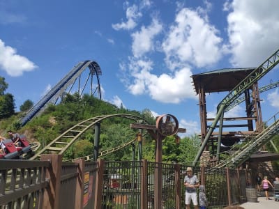 Wild Eagle at Dollywood