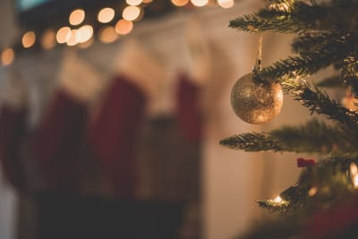 Winterfest & Trolley of Lights