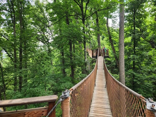 Anakeesta mountaintop park above Gatlinburg