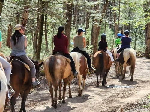 Scenic drive through Cades Cove
