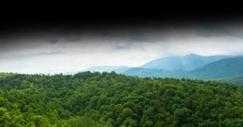 Ziplining in the Smoky Mountains